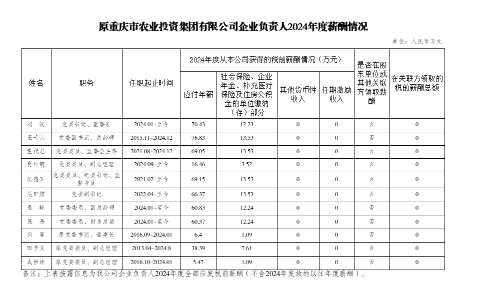 原重慶市農(nóng)業(yè)投資集團(tuán)有限公司企業(yè)負(fù)責(zé)人2024年度薪酬情況.png